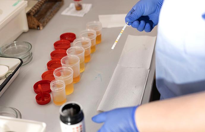 clinical diagnostics