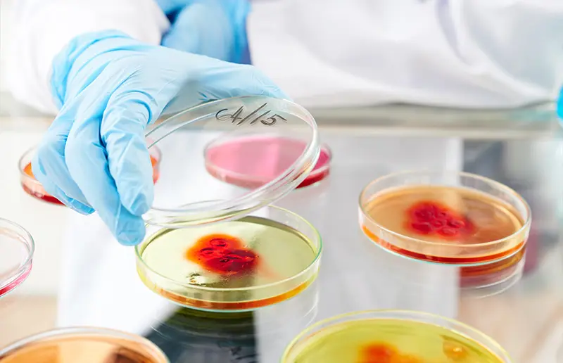 biological research