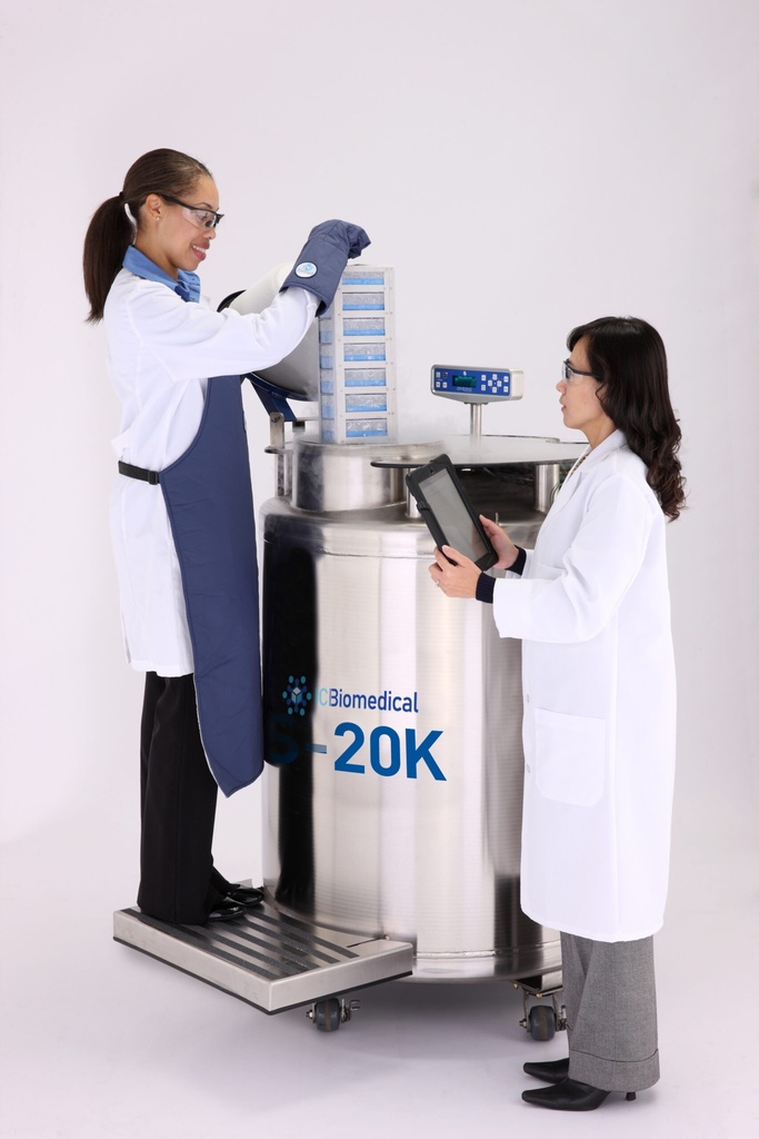 Taylor Wharton Cardboard 25 Cell Box – Case of 24 – For LS750, 10K, 24K, 38K, LABS 20K, LABS 38K, LABS 40K, LABS 80K IC Biomedical