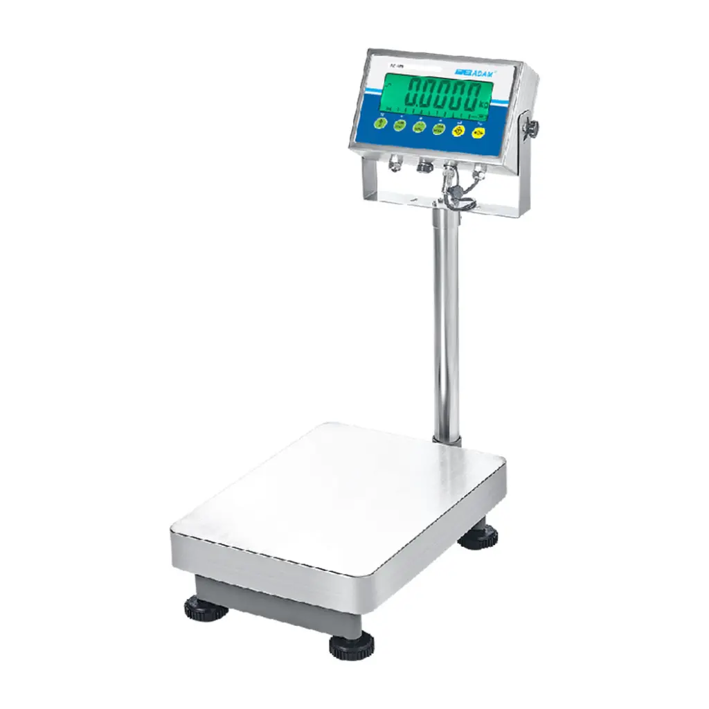 AGB and AGF Bench and Floor Scales (3).webp