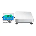AGB and AGF Bench and Floor Scales (6).webp