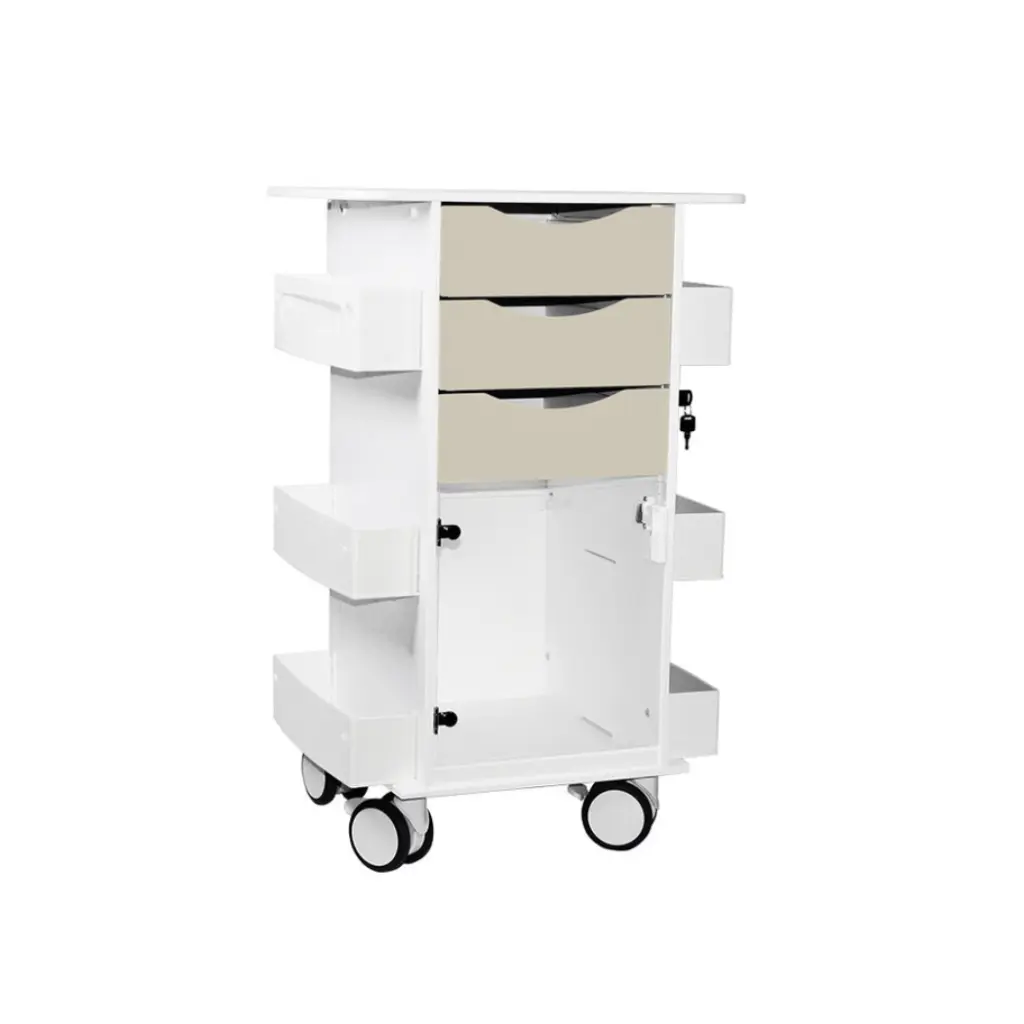 Core DX Cart with Hinged Door(3).webp