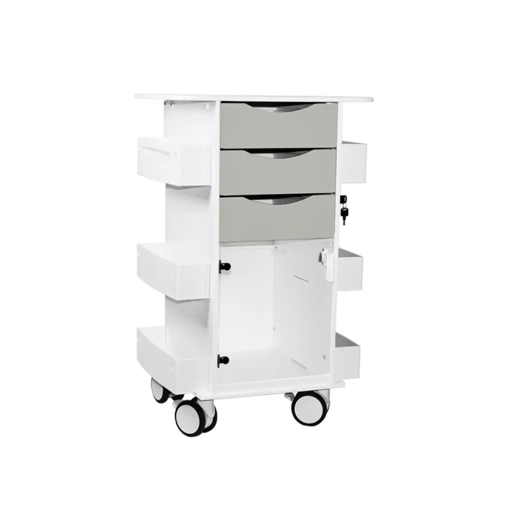 Core DX Cart with Hinged Door(7).webp
