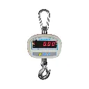SHS Crane Scales(1).webp