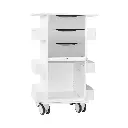 Core DX Cart with Sliding Door(9).webp
