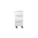 Core DX Cart with Sliding Door and Railtop(1).webp
