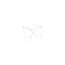 Draft Shields(6).webp