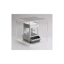 Draft Shields(8).webp