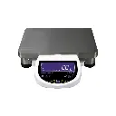 Eclipse® Precision Large Pan Balances(1).webp
