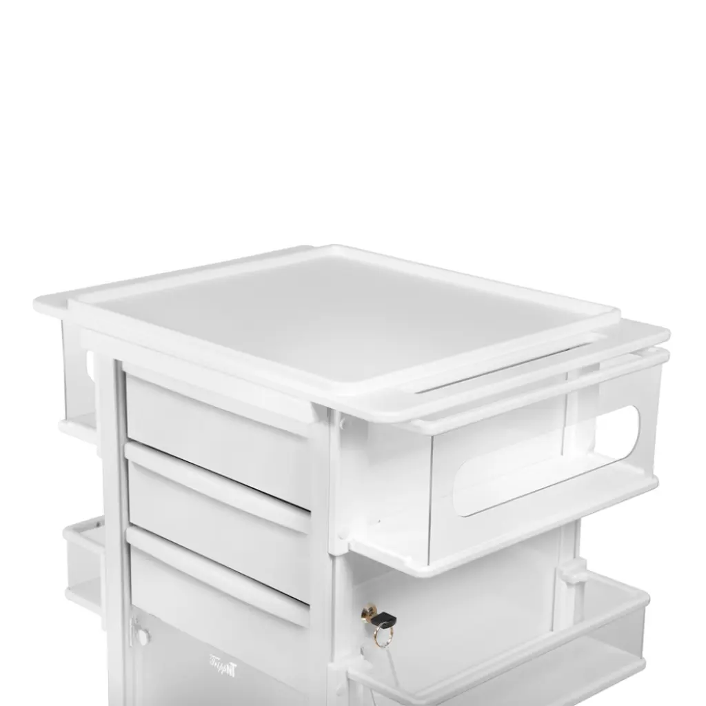 Element 01 Cart(2).webp