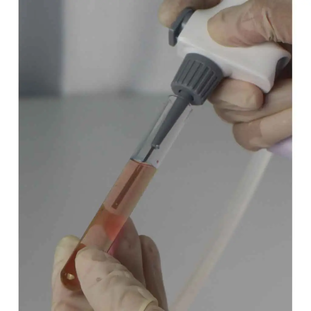 762000019999 (5).webp