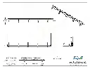 DWG - 53940.webp
