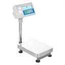 BCT Advanced Label Printing Scales