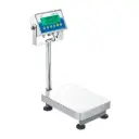 AGB and AGF Bench and Floor Scales