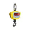 LHS Crane Scales