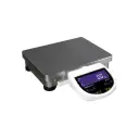 Eclipse® Precision Large Pan Balances