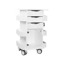 Core DX Cart with Hinged Door